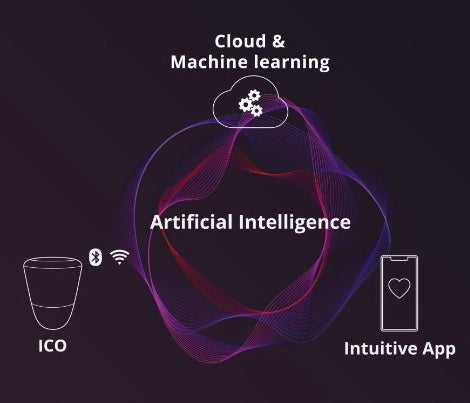Infografica sul rilevatore ICO V2 con cloud, intelligenza artificiale e app intuitiva.
